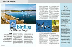 Lifestyle magazine design spread about birding with views of Elkhorn Slough and birds seen there