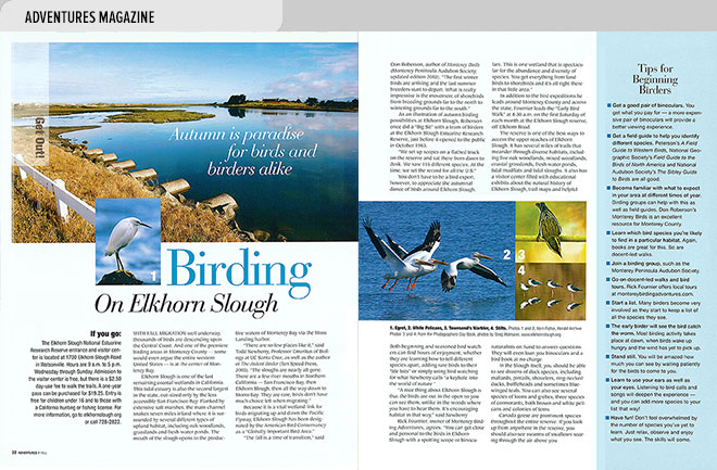 Lifestyle magazine design spread about birding with views of Elkhorn Slough and birds seen there